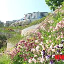 골든팩키지(주)