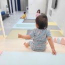 쥬라기풀빌라 이미지