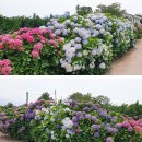 안성리-6 이미지