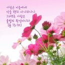 ▣ 주보잠언 목록. 505 ~ 600호 이미지