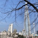 일식호림 네이버블로그