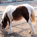 순호농장 이미지