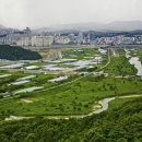 하천(갑천2) 이미지