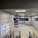 유달산 | 주말 힐링 여행, SRT 타고 다녀온 목포 유달산 등산 후기