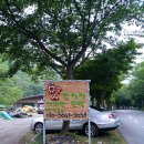 핫캠핑장 이미지