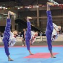 경희대 도복소리 태권도장 이미지