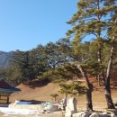 흥령선원지 이미지