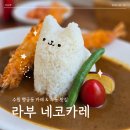 수원-1319 | 수원 행궁동 인스타 감성 맛집 일본식 카레 전문점 라부 - 고양이 카레 후기 (주차, 위치, 메뉴)