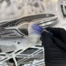 워시엔카 이미지