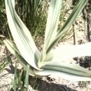 고향농장 이미지