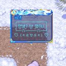 홍돼지사냥