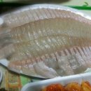 광어2마리