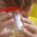 학운초병설유치원 이미지