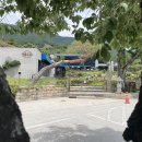 거목민박 이미지