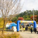 솔향기길1코스(당봉) | 충남 태안 가볼만한곳 서해랑길 72코스 솔향기길 축제 태안 바다 여행 추천 만대항