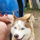 태민동물병원 이미지