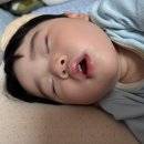 설화목장 | [일상기록] 계속되는 폭염과 걷기 시작한 지후!(👶🏻12-14개월)