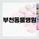 정서동물병원 이미지