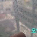 용산-현장-1530 이미지