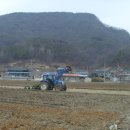 명지바람 Daum카페