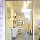 멍빨 | 울산 동구 애견 미용 셀프목욕 가능한 멍빨 애견목욕 위생미용