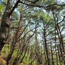 운봉주유소 이미지