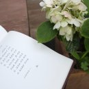 포웍스컴퍼니 이미지