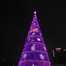 Christmas Tree , Seoul City Hall/2015.12.30 이미지