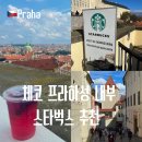 스타벅스 낙성대역점 앞 횡단보도 | 체코 프라하성 스타벅스 전망대 가는법 뷰 추천 내부 후기