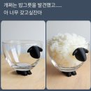 여전히 그, 여기에 플러스 알파 컨텐츠 - 26년 6월