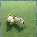 호텔아로하 이미지