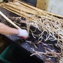 대일상회 이미지