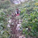 아내의 텃밭 이미지