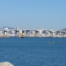 그해 바다 이미지