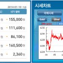 골드쉘화정