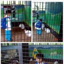 강민농장 이미지