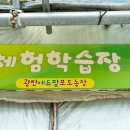 청등농장 이미지