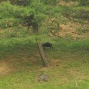 무진농장 이미지