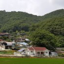 금강 이미지