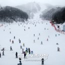 휘닉스파크 - 제천시 내토로32길 8-1 | 휘닉스파크