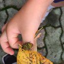 다목초병설유치원 이미지