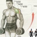 비엠휘트니스클럽 이미지