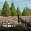(주)삼원환경 | 경남 합천 가볼만한곳 핫들생태공원 작약 봄 데이트 코스