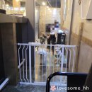 (주)펫톡 이미지