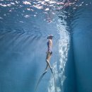 (주)딥크로스 이미지