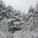 천지농장 이미지