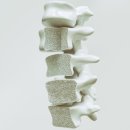 삼성센텀정형외과의원 이미지