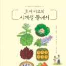 나니이모 이미지