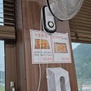 용천송어