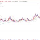 디에스케미칼 이미지